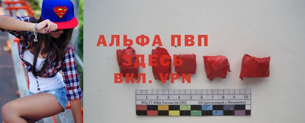 ПСИЛОЦИБИНОВЫЕ ГРИБЫ Навашино
