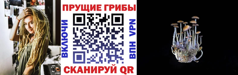 Галлюциногенные грибы MAGIC MUSHROOMS  Назрань 