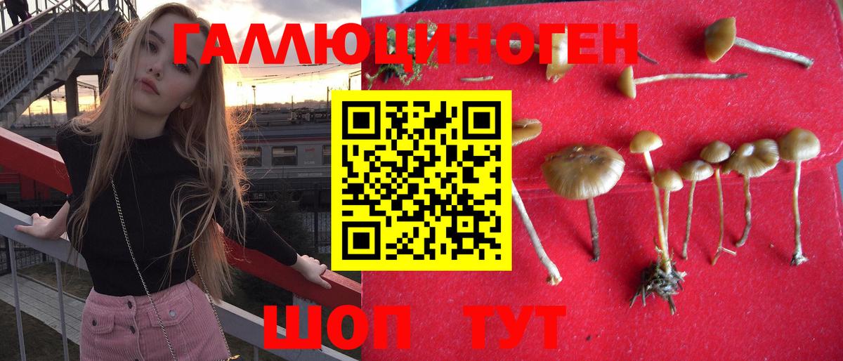 Псилоцибиновые грибы прущие грибы Назрань