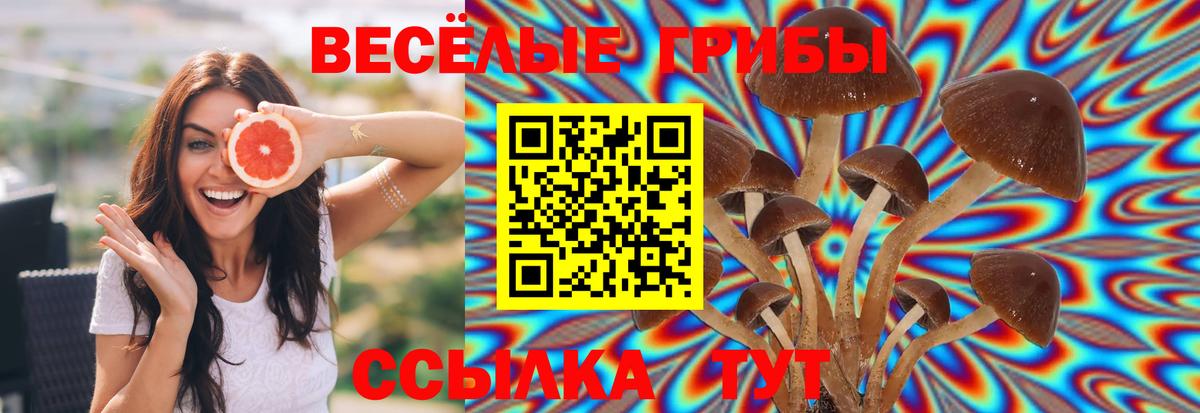 Псилоцибиновые грибы Magic Shrooms  хочу   Назрань  Вход с VPN 