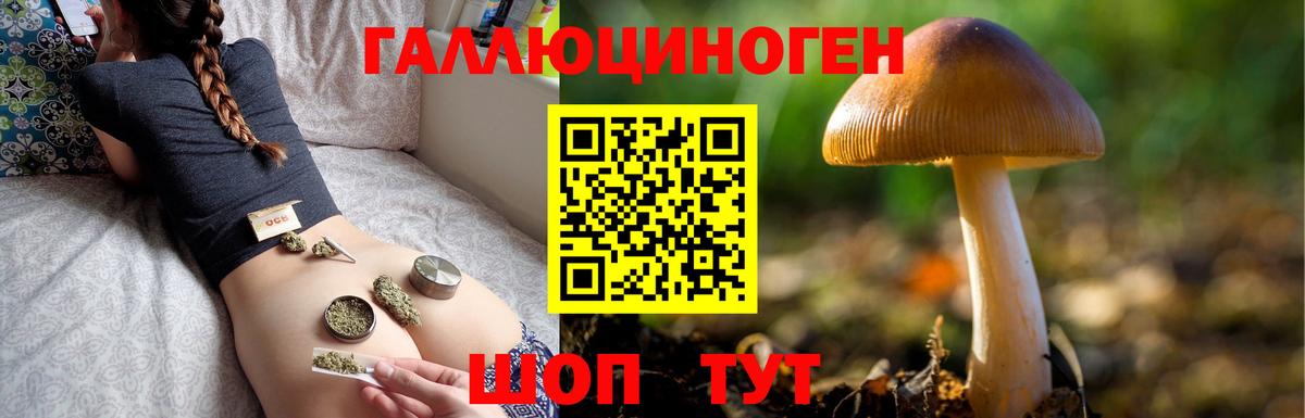 Псилоцибиновые грибы ЛСД  Псилоцибиновые грибы Cubensis  Назрань 